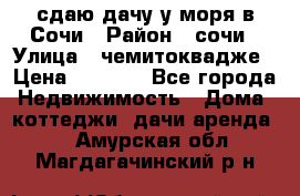 сдаю дачу у моря в Сочи › Район ­ сочи › Улица ­ чемитоквадже › Цена ­ 3 000 - Все города Недвижимость » Дома, коттеджи, дачи аренда   . Амурская обл.,Магдагачинский р-н